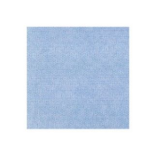 Immagine di TOVAGLIOLI SPUNLACE STRONG BLU 40x40CM 50PZ